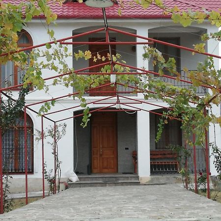 Villa "Zepuri" Dushet'i 外观 照片