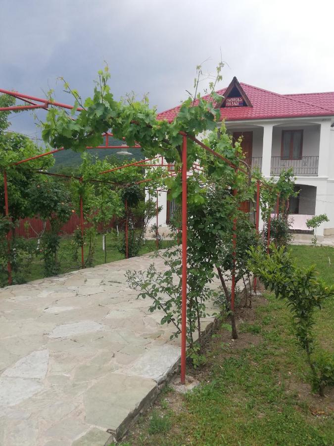 Villa "Zepuri" Dushet'i 外观 照片
