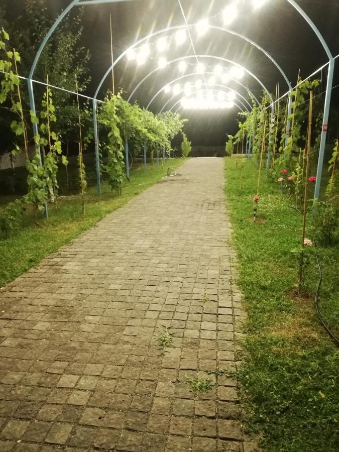 Villa "Zepuri" Dushet'i 外观 照片