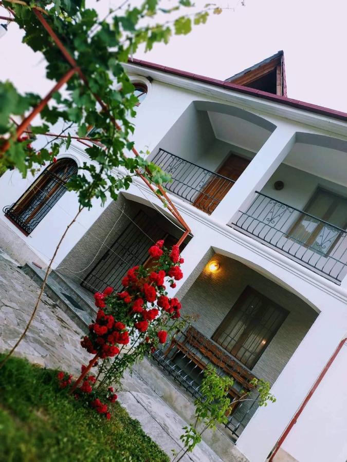 Villa "Zepuri" Dushet'i 外观 照片