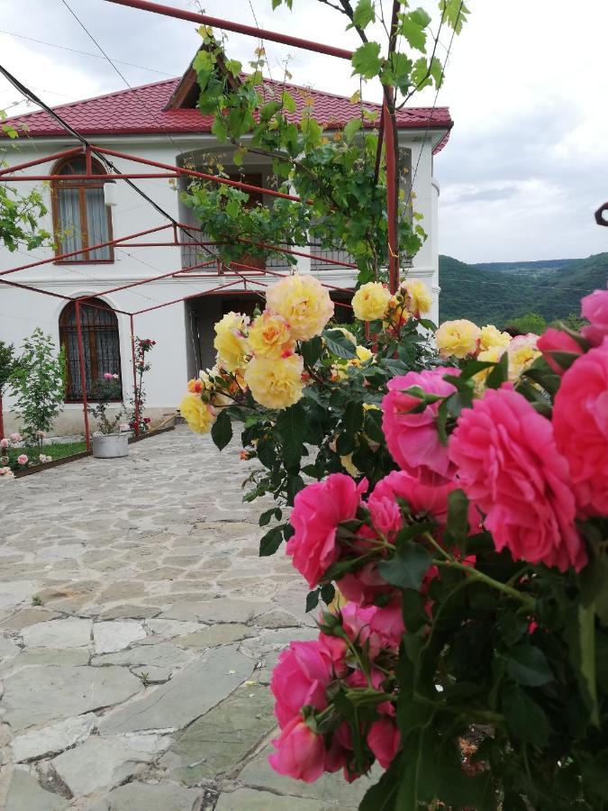 Villa "Zepuri" Dushet'i 外观 照片