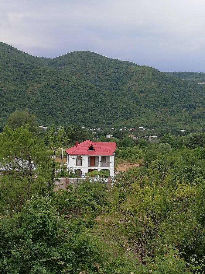 Villa "Zepuri" Dushet'i 外观 照片